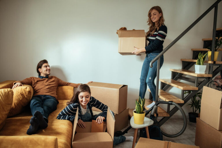 Nurturing Harmony in Shared Living Spaces