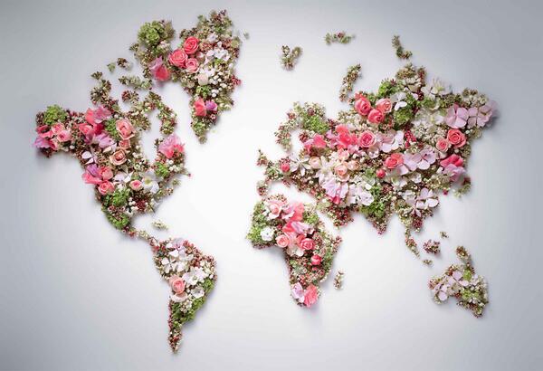 International Women’s Day: Empowering Mental Health and Resilience