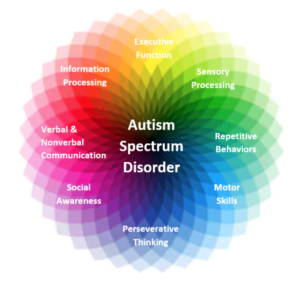 infograph showing different elements of autism spectrum disorder