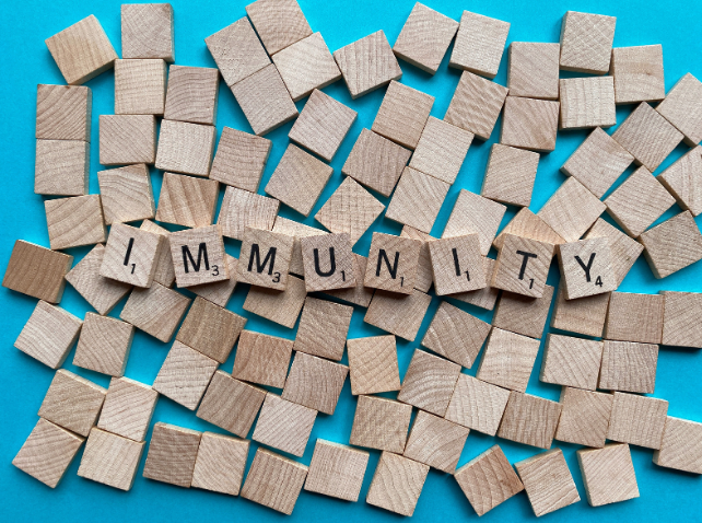 The Significance of Self-Care on International Day of Immunology