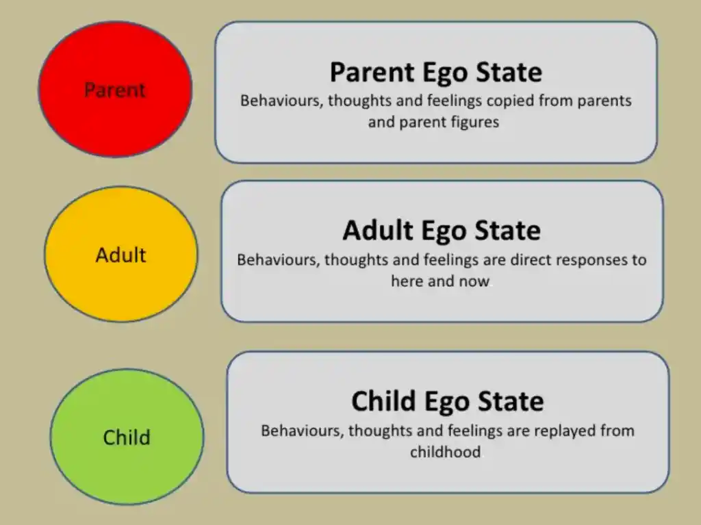 infograph on the parent adult child ego states