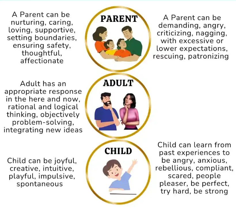infograph showing transactional analysis
