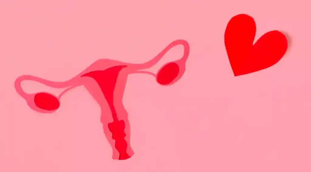 animated image of ovaries and heart